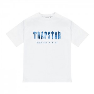 Camiseta Trapstar Decoded Tee Masculino Branco Portugal | DY78-273