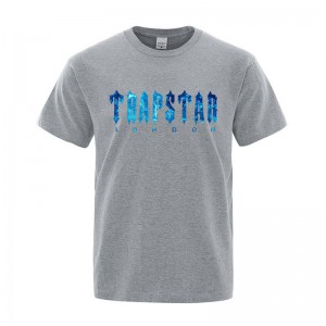 Camiseta Trapstar London Chenille Tee Masculino Cinzentas Portugal | LK26-148