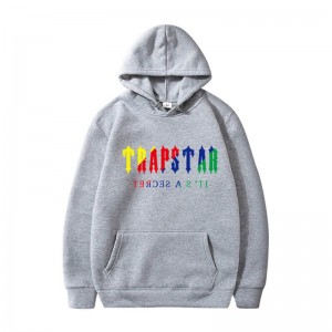 Moletom com Capuz Trapstar It’s A Secret Masculino Cinzentas Portugal | GC99-174