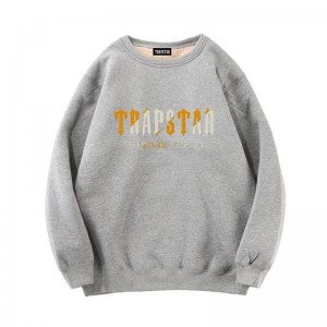 Moletons Trapstar Fleece It's a Secret Masculino Cinzentas Portugal | NT22-348