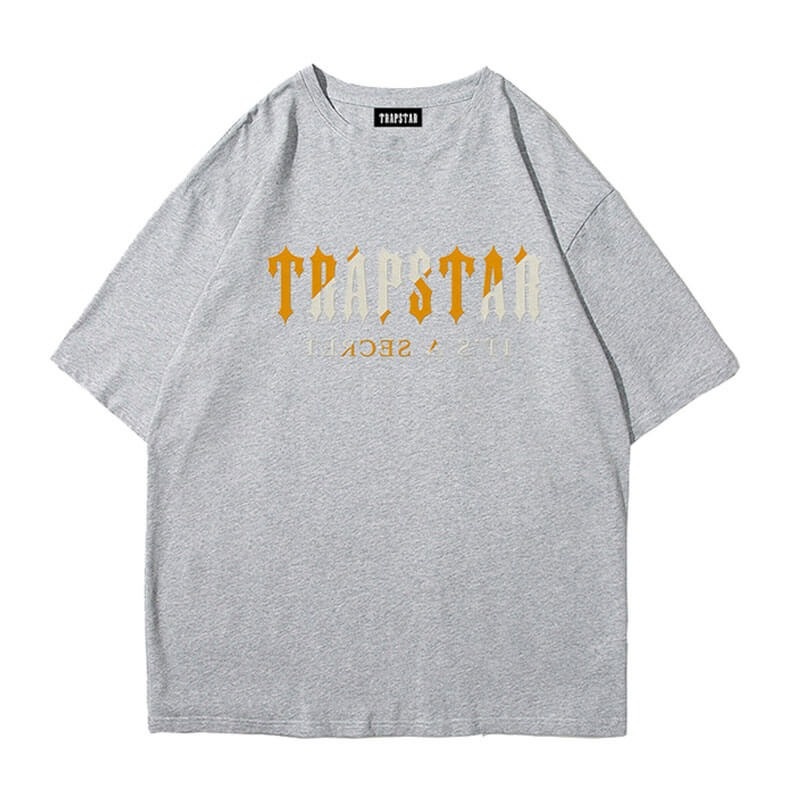 Camiseta Trapstar Shinning Galaxy its a Secret Masculino Cinzentas Portugal | GI41-366